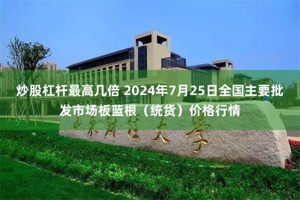 炒股杠杆最高几倍 2024年7月25日全国主要批发市场板蓝根（统货）价格行情