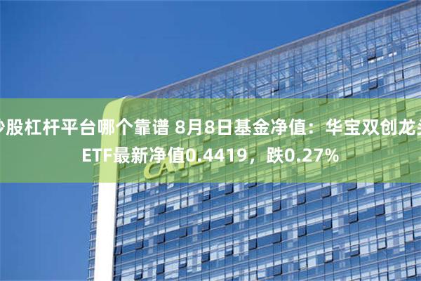 炒股杠杆平台哪个靠谱 8月8日基金净值：华宝双创龙头ETF最新净值0.4419，跌0.27%