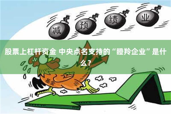 股票上杠杆资金 中央点名支持的“瞪羚企业”是什么？