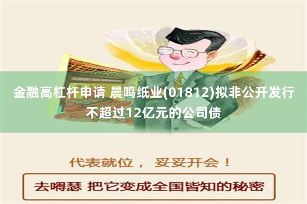 金融高杠杆申请 晨鸣纸业(01812)拟非公开发行不超过12亿元的公司债