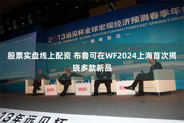 股票实盘线上配资 布鲁可在WF2024上海首次揭晓多款新品