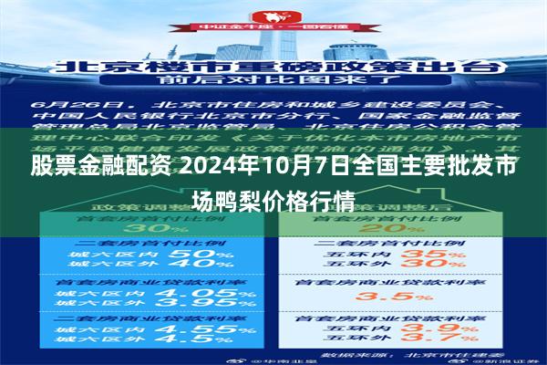 股票金融配资 2024年10月7日全国主要批发市场鸭梨价格行情