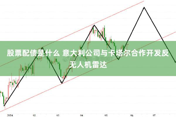 股票配债是什么 意大利公司与卡塔尔合作开发反无人机雷达