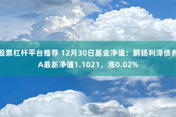 股票杠杆平台推荐 12月30日基金净值：鹏扬利泽债券A最新净值1.1021，涨0.02%